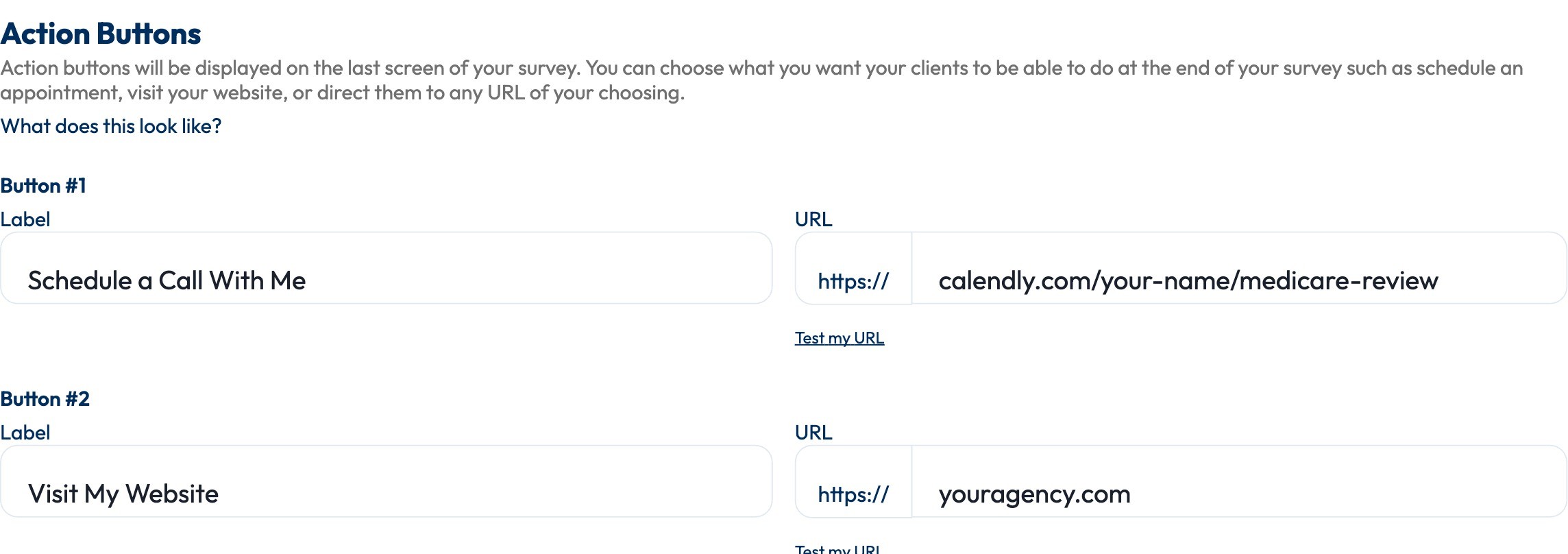 Example: Button #1 labeled 'Schedule a Call With Me' pointing to a Calendly link, Button #2 labeled 'Visit My Website'