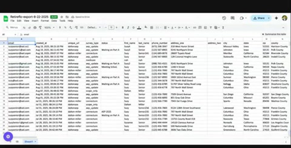 The exported spreadsheet with client data in columns