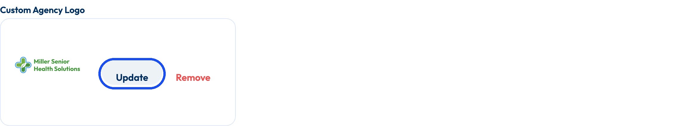 The Custom Agency Logo section with the current logo and the Update button highlighted